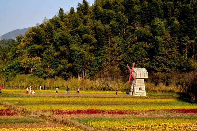 来自湾里旅游部门的统计,2014年日均游客量超过1万人次,全年游客接待