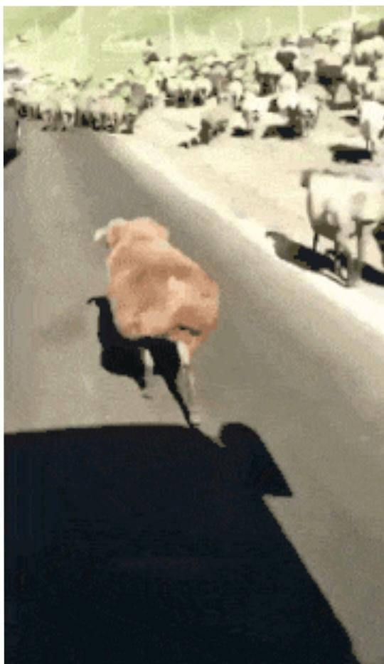 搞笑gif,每日一笑:自从知道羊肉涨价,就走出了六亲不认的步伐