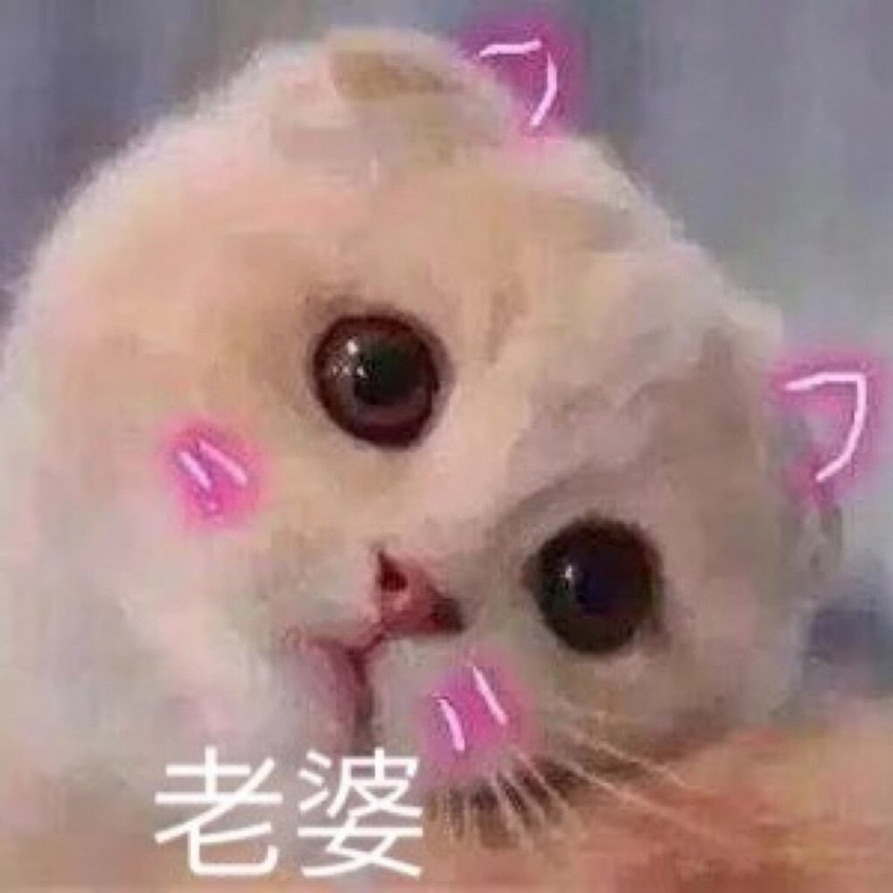 超火萌宠情头:我愿意一辈子做个小可爱,这样就能被你一直宠到了白头