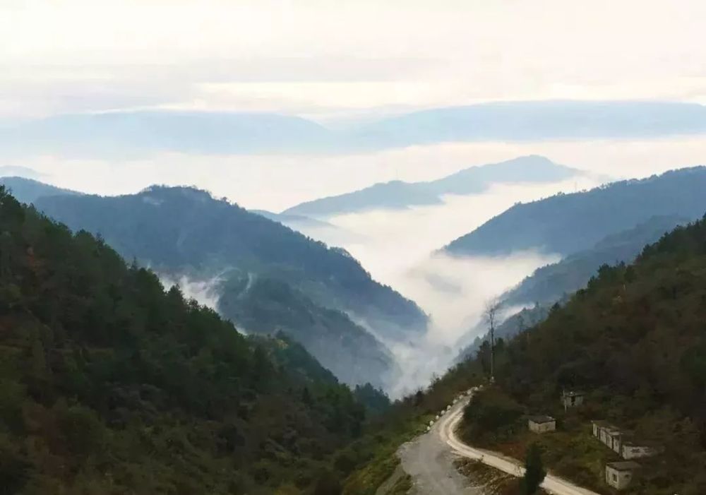 云雾山中,竹海深处,这里是石柱大歇镇流水村.