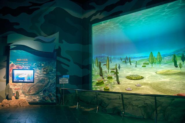 中国旅游景区大全之台湾国立海洋生物博物馆