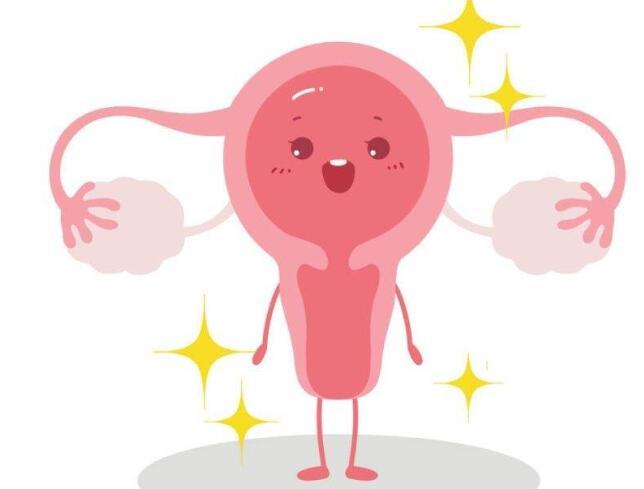 试管婴儿辅助生育:卵巢早衰卵巢会变小吗?