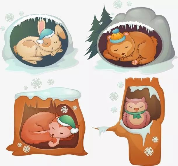 武夷山国家公园的小动物们,都是如何过冬的?