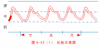 尺脉弱怎么回事 腾讯网