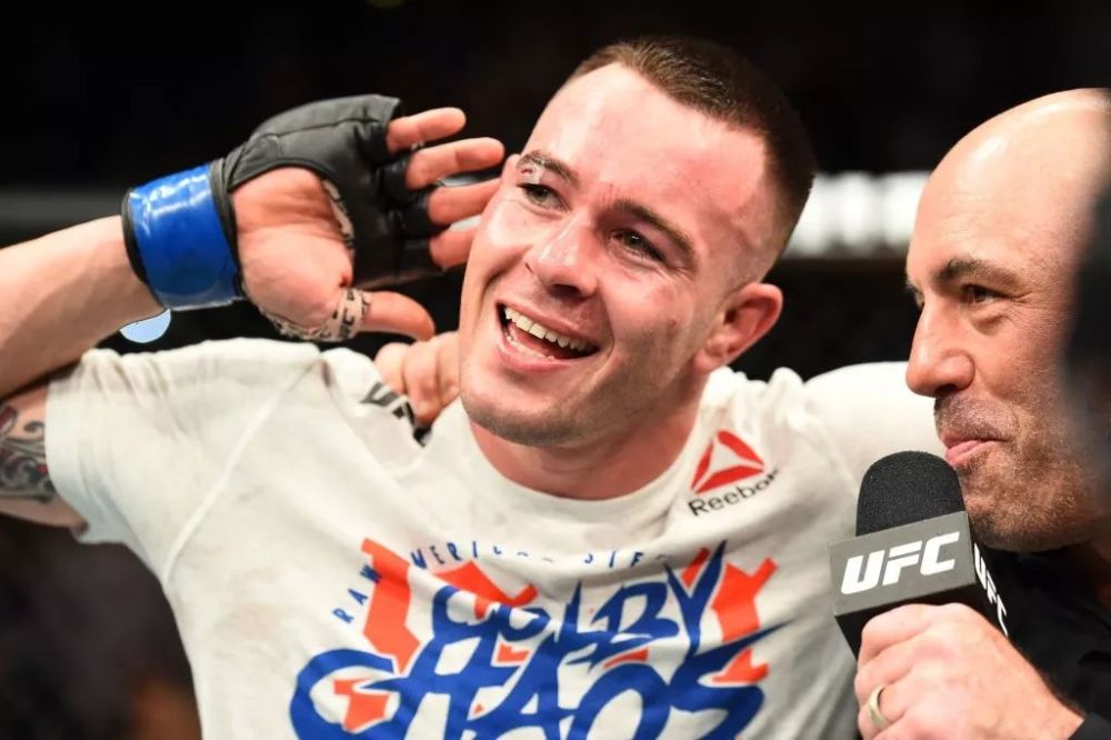 ufc245迎三场冠军赛,"天佑王朝"还能进一步稳固吗?
