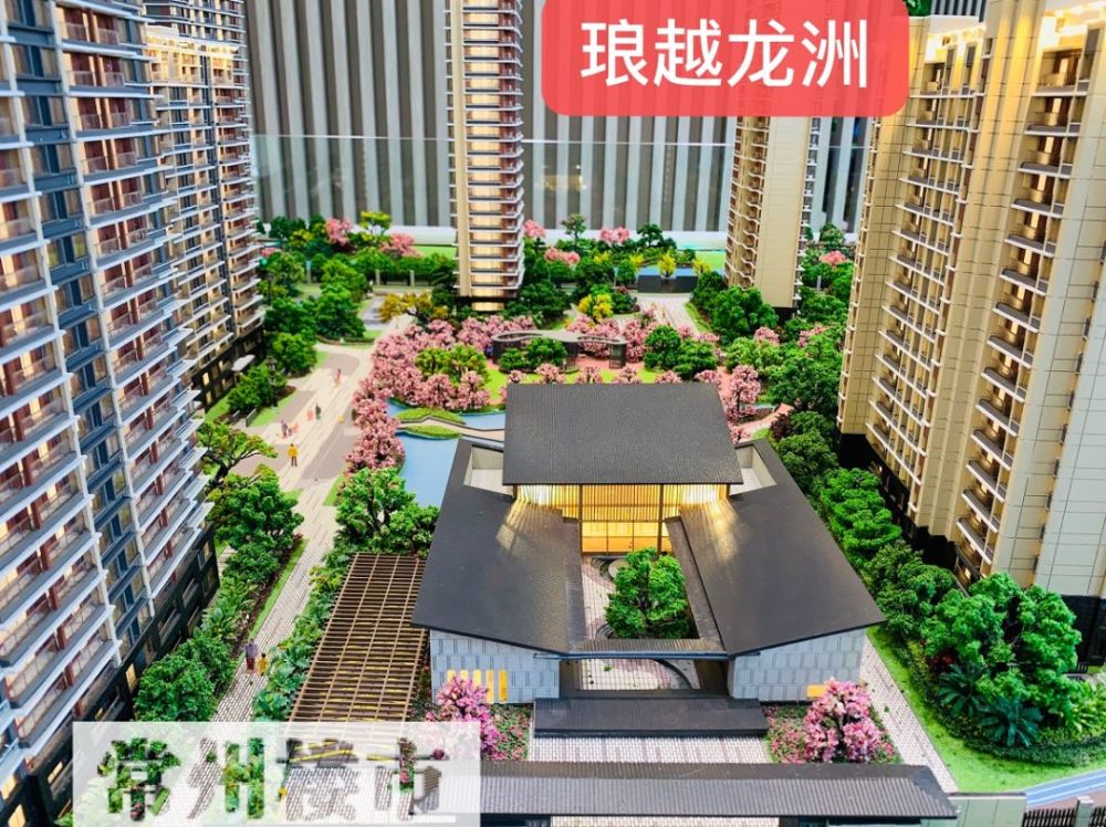 相距500米的距离,就是大和房屋开发的琅越龙洲,也是在常州的第二个