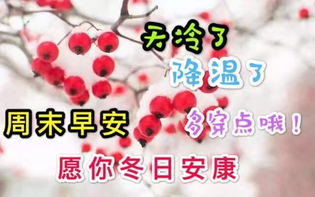 周末早上好问候语 冬天周末早安天冷温馨祝福语冬天下雪了早上好动态