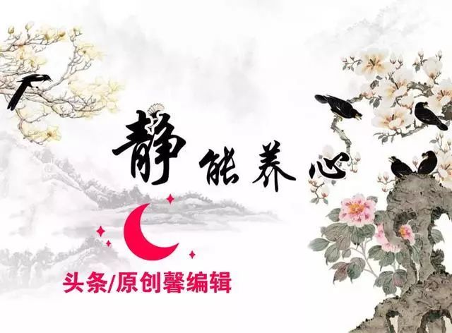 静能养心,心静回本真