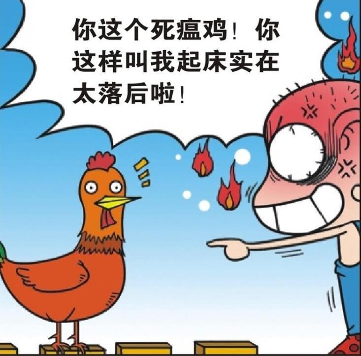 搞笑漫画:公鸡每天打鸣被呆头骂了,改用鸡毛掸子叫呆头起床