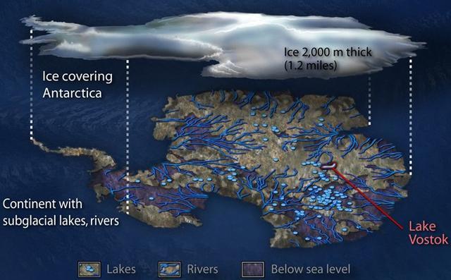 南极千米冰湖下,专家发现千年古生物,网友称,大开眼界