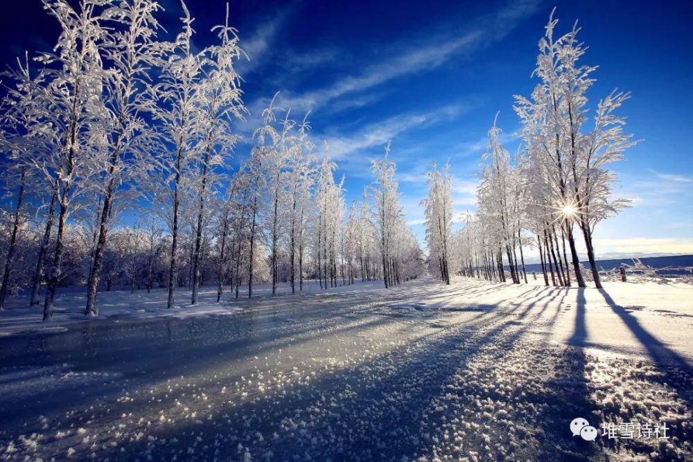 图片来源:富蕴县委宣传部 富蕴雾凇 作者|堆雪   朗诵|简艺 一群羊