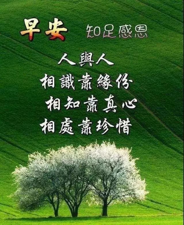 秋天慰问朋友的清晨暧心祝福语 2020早安阳光问候动图