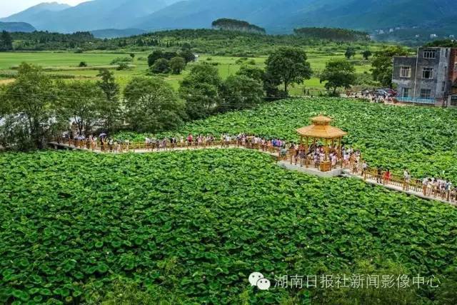 江华蒋氐人口_银魂江华