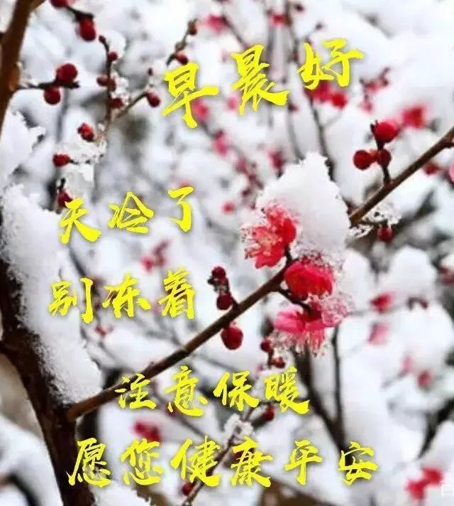 冬天清晨暖心的早上好祝福语图片带雪 美好新的一天新