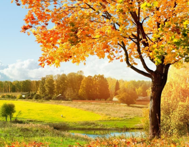 唯美秋景高清精美壁纸,美丽迷人的风景,令人向往