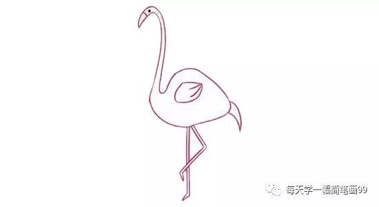 每天学一幅简笔画-火烈鸟简笔画图片大全