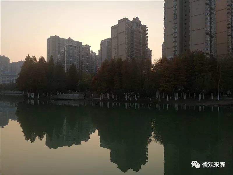 来宾市区人口有多少_来宾市区地图