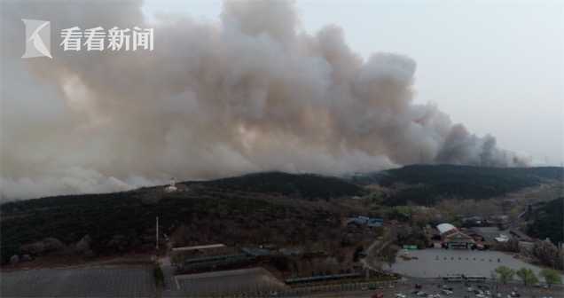 沈阳棋盘山大火宣判 肇事者犯失火罪被判六年