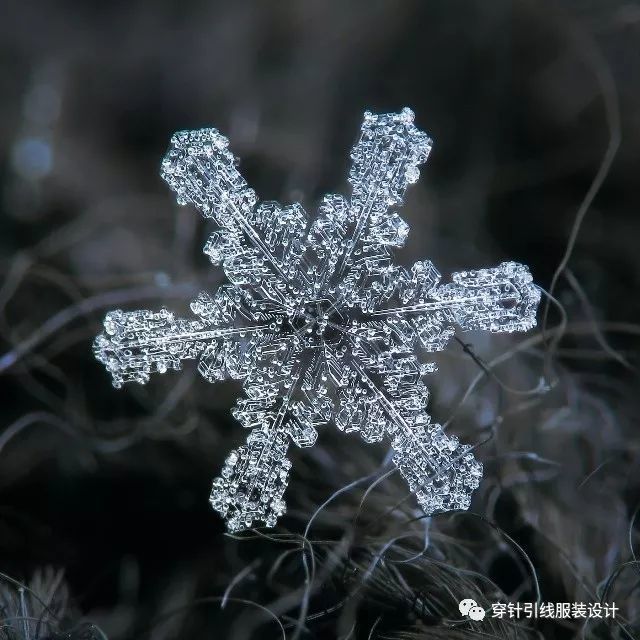 图案| 雪花——大自然的几何作品