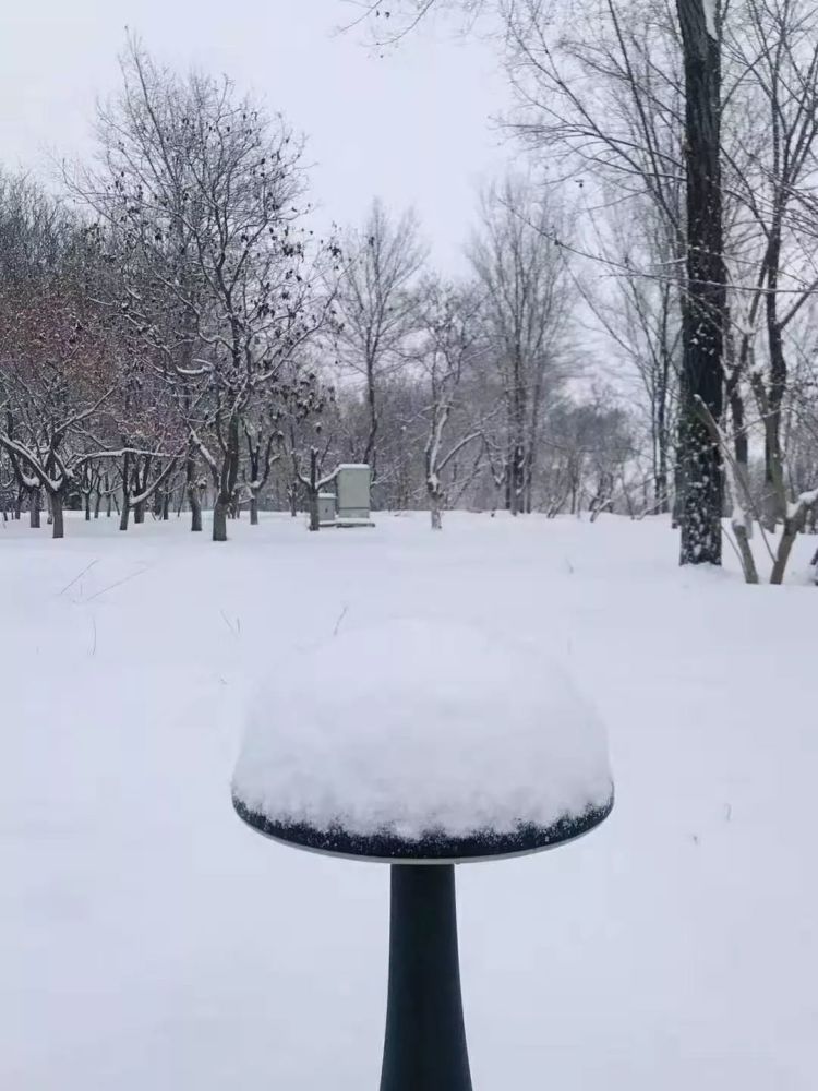 下雪了,朋友圈又疯狂了