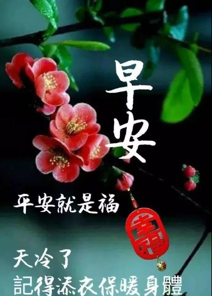 特别漂亮的早安问候祝福语动态表情图片,早安祝福语