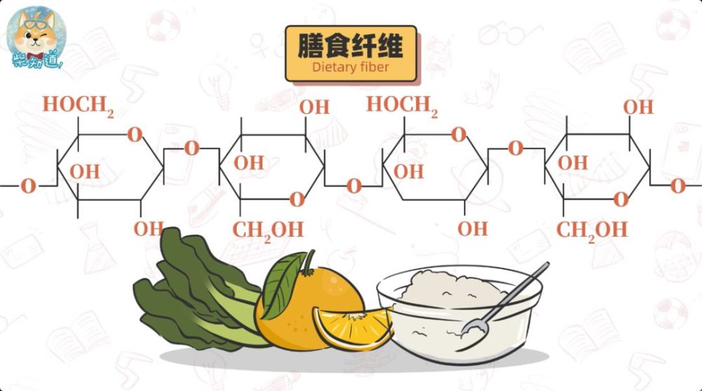 你到底有没有必要补充膳食纤维?