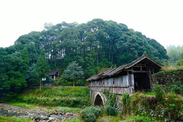 有人说温州的摄影天堂在泰顺,我就给你列出十个最梦幻的地方