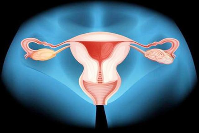 女性一胎后多久才能再怀孕生二胎?不同情况时间不同,最少是半年