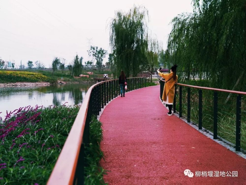 这一举措,既为公园留出了一条生态雨水廊道,同时也避免了游人在高压