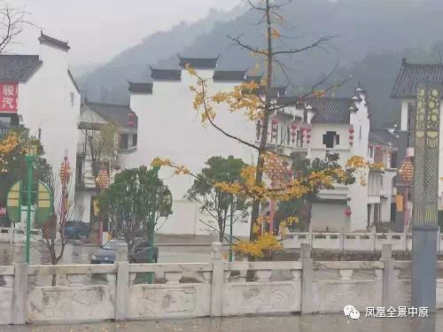 河南省桐柏县:"黑大哥"常杰还能再"黑"多久?