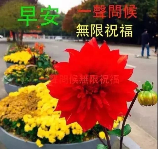 朋友圈最好看的早上好祝福大家图片表情闪动 发女朋友