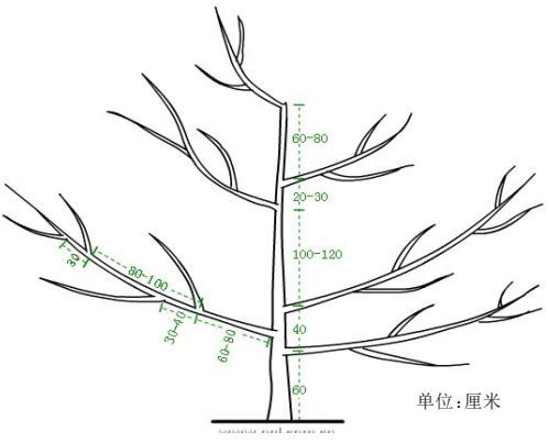 疏散分层延迟开心形