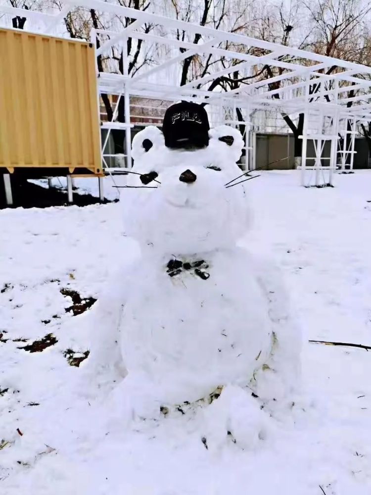 首届堆雪人大赏!你堆的这个雪人好像一只