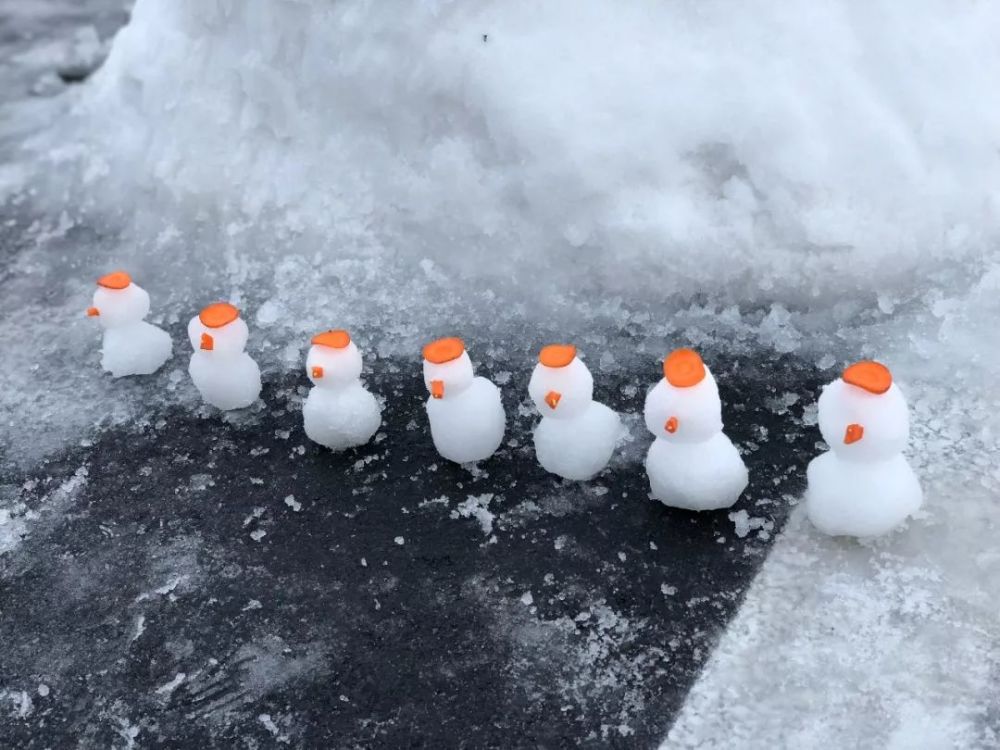 首届堆雪人大赏!你堆的这个雪人好像一只