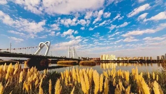 汉中市区人口有多少_汉中人口密度图(2)