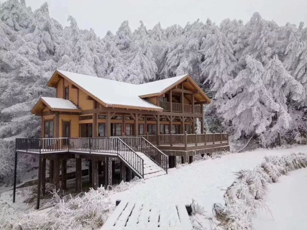 下雪啦,奉节局地今日银装素裹,美美美