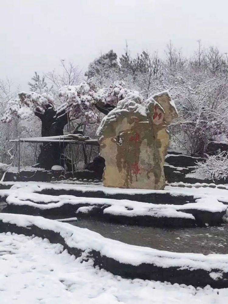 下雪啦,奉节局地今日银装素裹,美美美