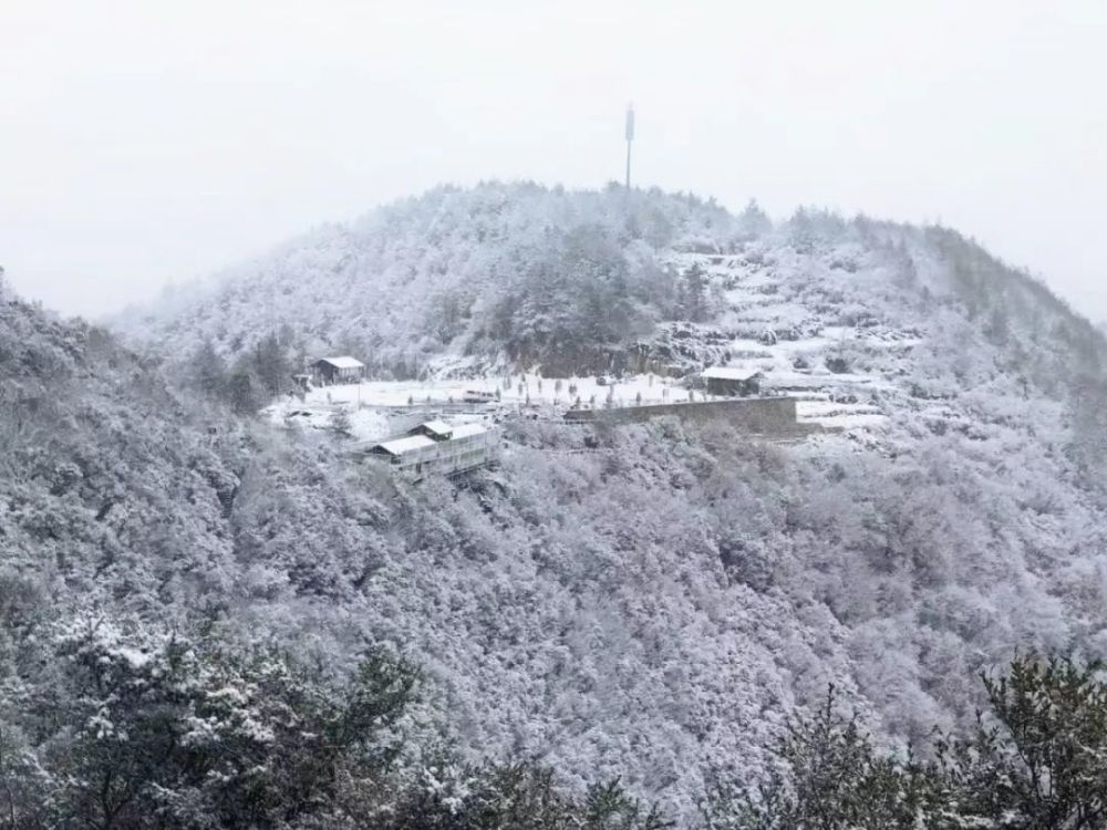 下雪啦,奉节局地今日银装素裹,美美美