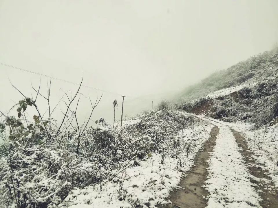 下雪啦,奉节局地今日银装素裹,美美美