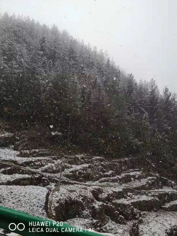 下雪啦,奉节局地今日银装素裹,美美美