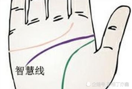 手相中三条主纹路代表着什么?