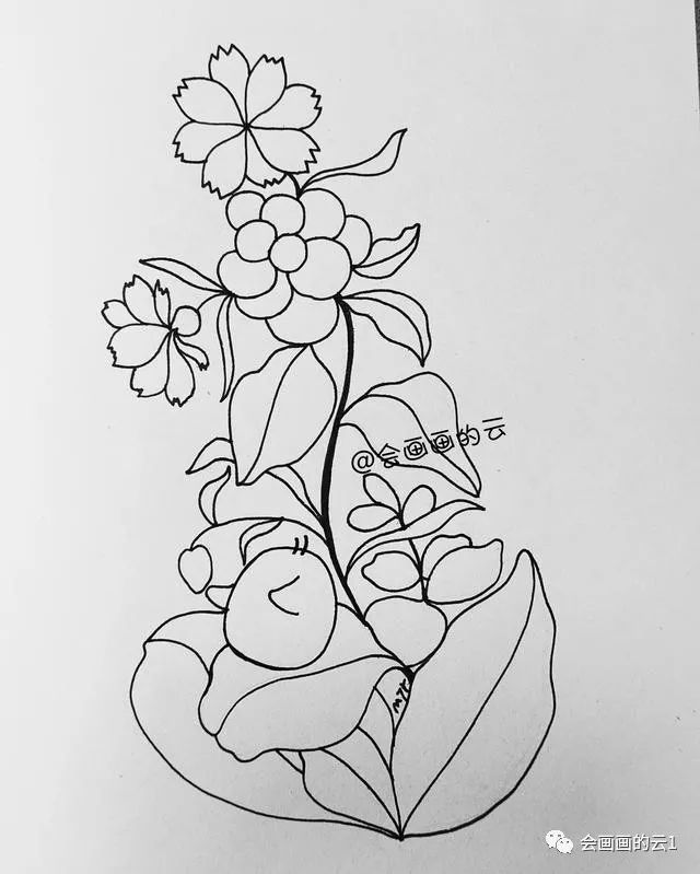 分步骤教你画一个简单好看的植物