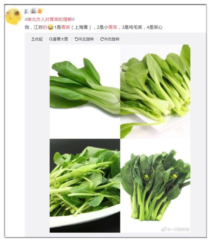 杭州人坚决说不!你口中的青菜是什么品种?