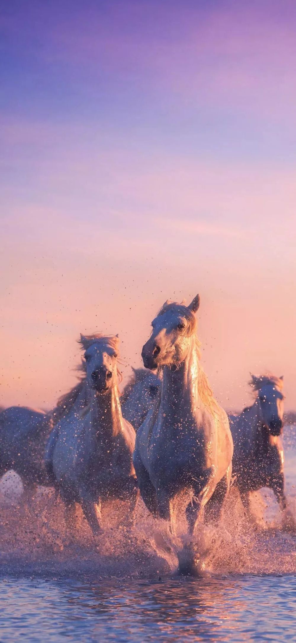 潮图壁纸 | 只想搞钱!