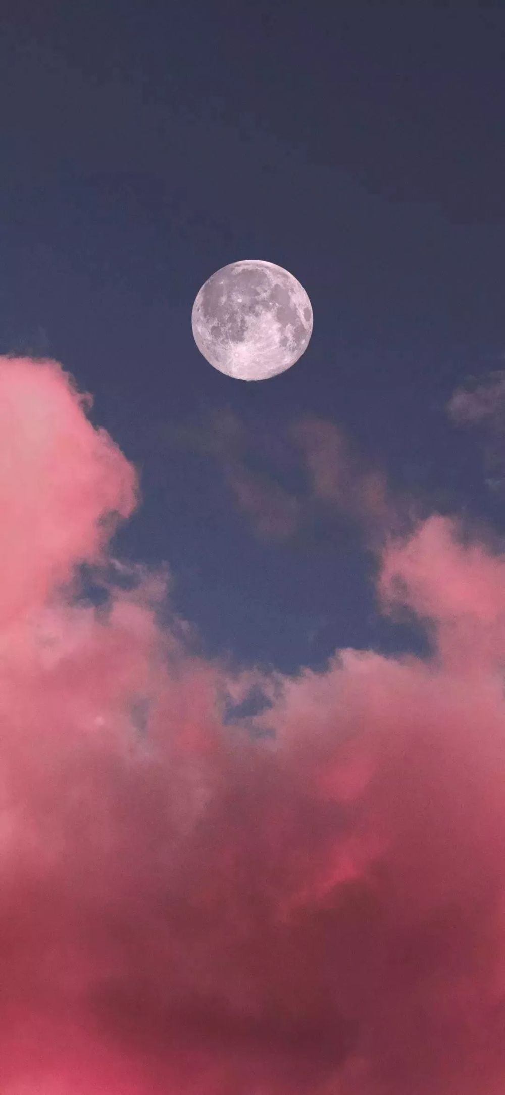 潮图壁纸 | 只想搞钱!