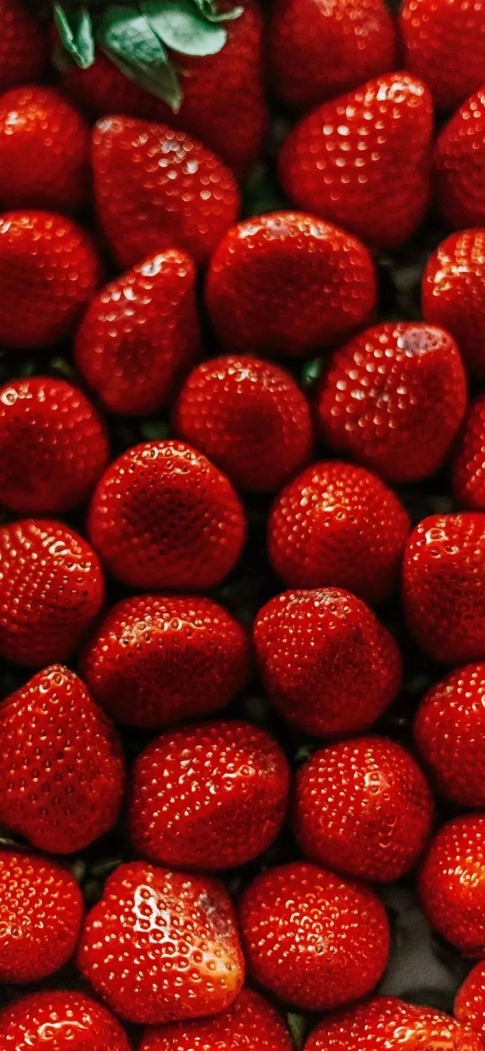 潮图壁纸 | 只想搞钱!