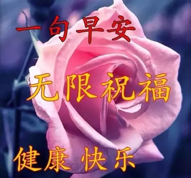早上好朋友,最好看的早安问候语动态图,最漂亮早上好问候语图片带字