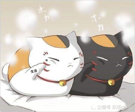 生活,就是让你左右为难