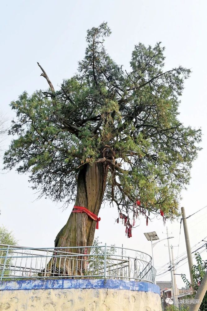 夏县泗交人口_夏县泗交太宽河