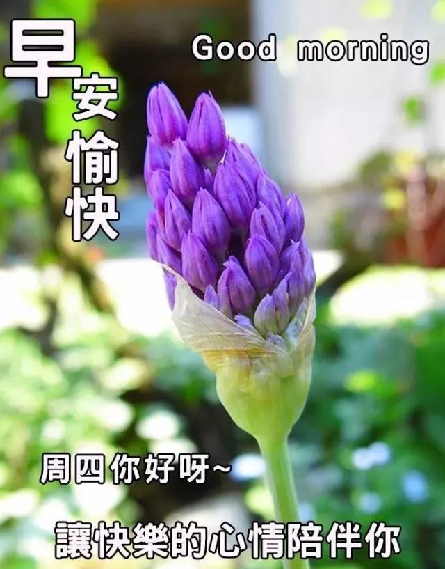 冬天到了微信最近很火的早安正能量语录句子早上好问候语阳光图片